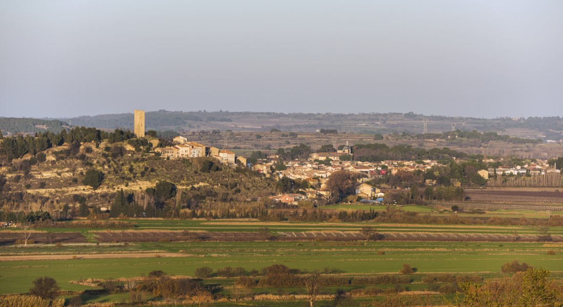 Montady cf01