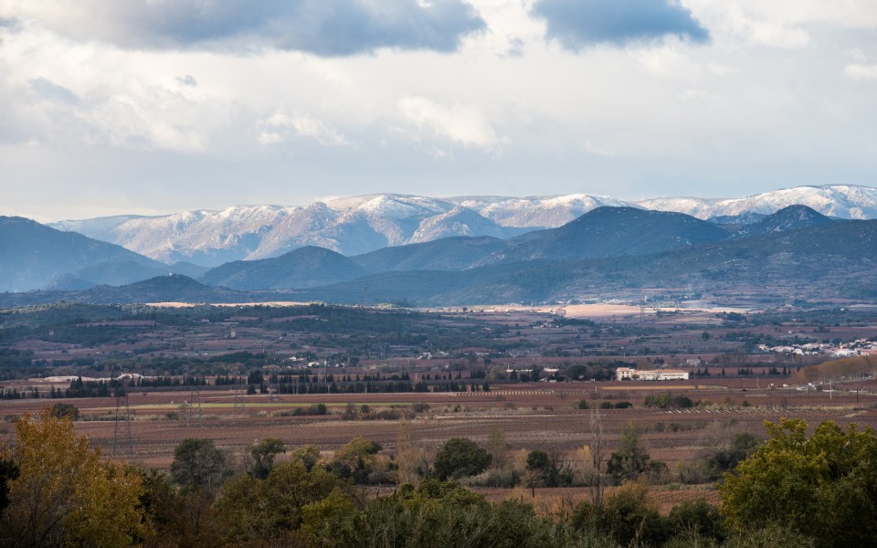 Montagne Noire, Hérault 01