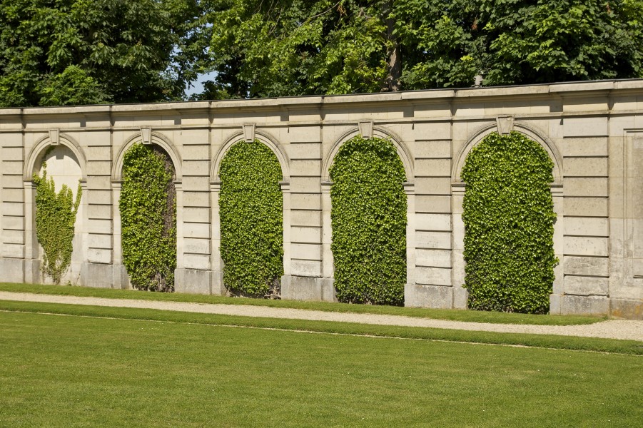 Mur verdure Champs sur Marne