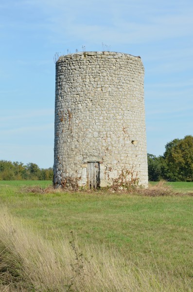 Nonac 16 Moulin en ruine près D74 2014
