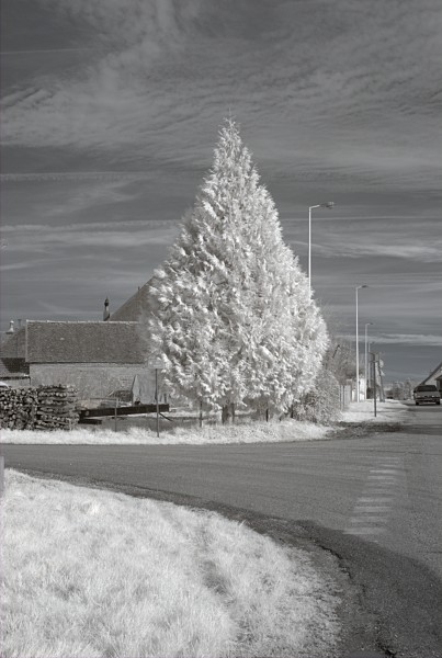 Pagny-le-Château 2013 01 31 07 IR