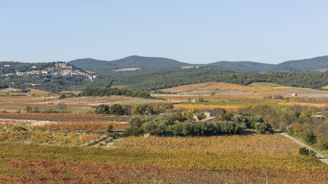 Roquessels and vineyards 01