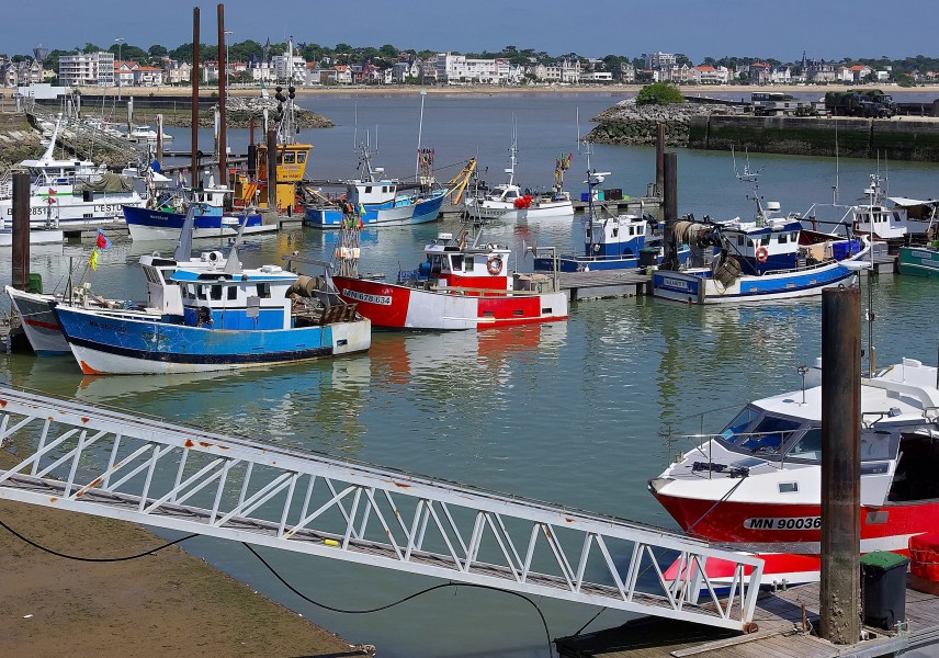 Royan 17 Bateaux pêche 2009