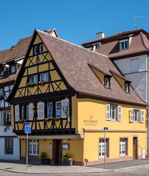 Rue des Écoles (Colmar) jm01503