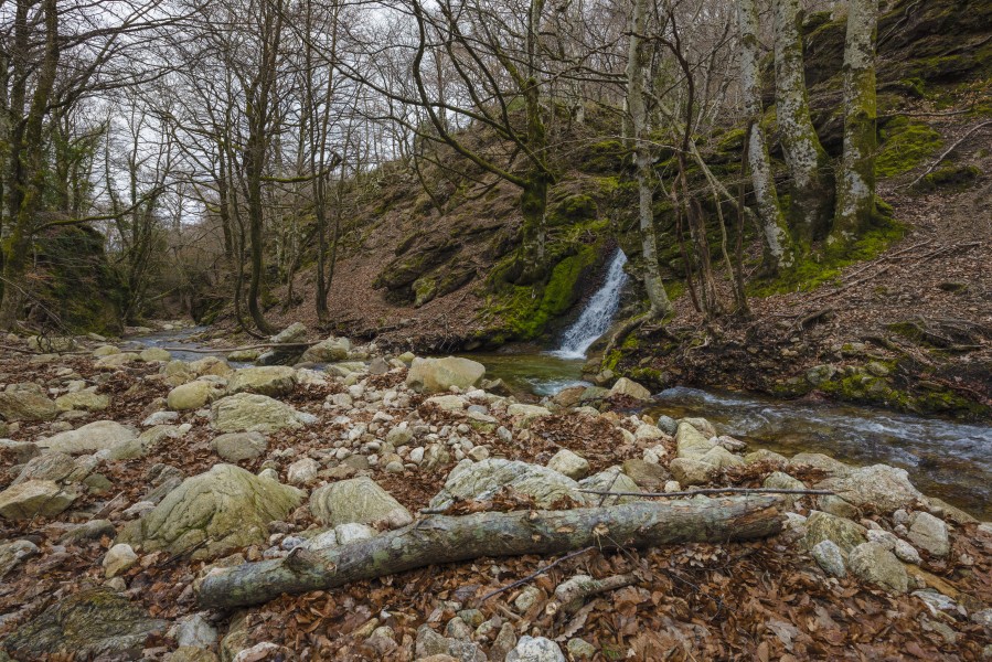 Ruisseau du Vialais, Haut-Languedoc, Rosis cf01