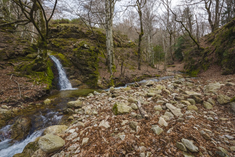 Ruisseau du Vialais, Haut-Languedoc, Rosis cf03