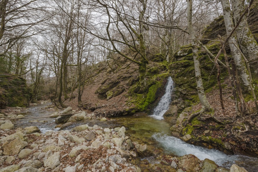 Ruisseau du Vialais, Haut-Languedoc, Rosis cf04