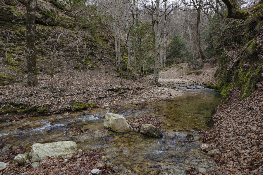Ruisseau du Vialais, Haut-Languedoc, Rosis cf05