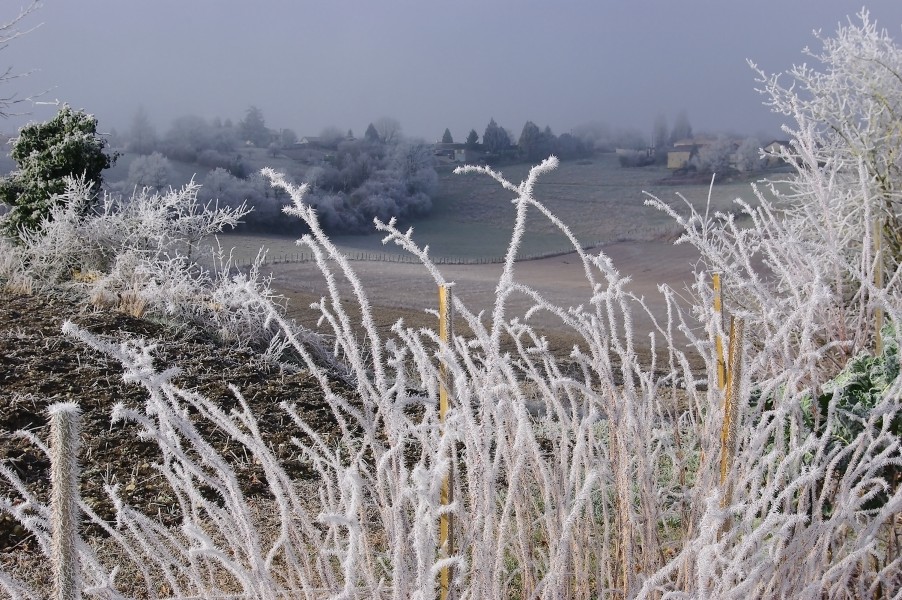 Saint-Amant 16 Givre-1 2010