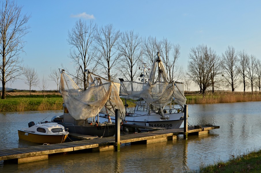 Saint-Fort-sur-Gironde Port-Maubert Civelliers 2013