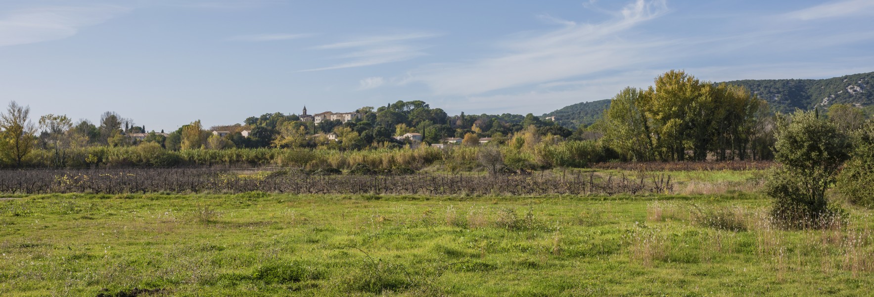Saint-Mathieu-de-Tréviers 01