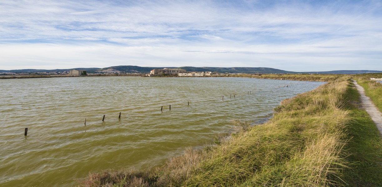 Salins de Frontignan 03