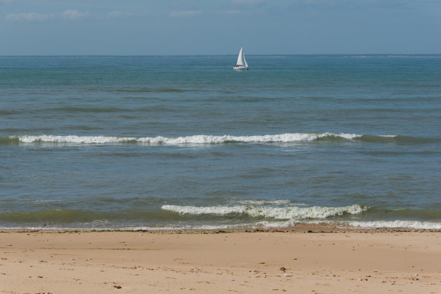 Seaboard, Les-Portes-en-Ré, Ré island, Charente-Maritime