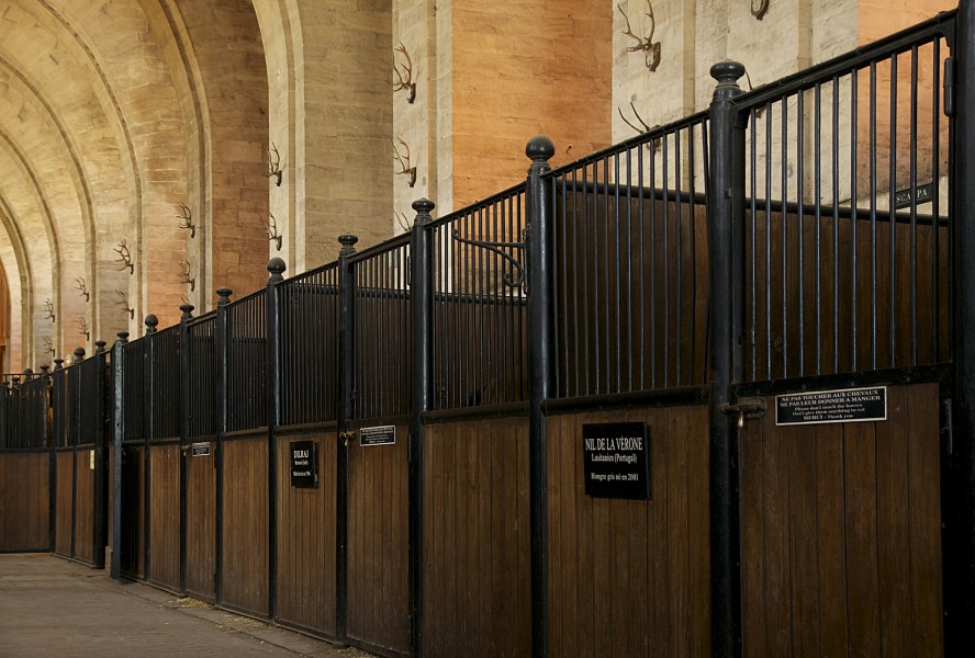 Stalles musée vivant cheval Chantilly