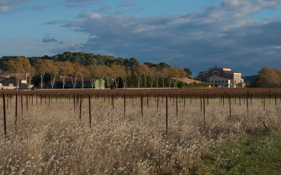 Thézan-lès-Béziers, Hérault 01