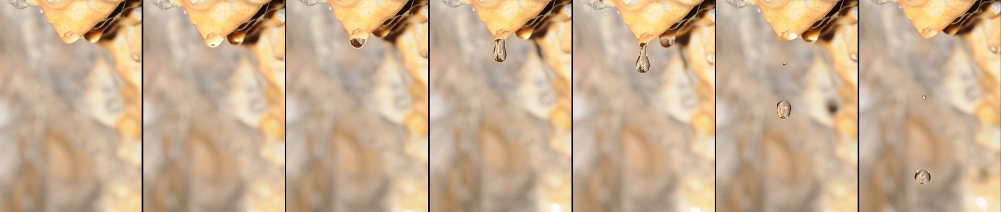Thomas Bresson - Creation-goutte-eau-redim (by)