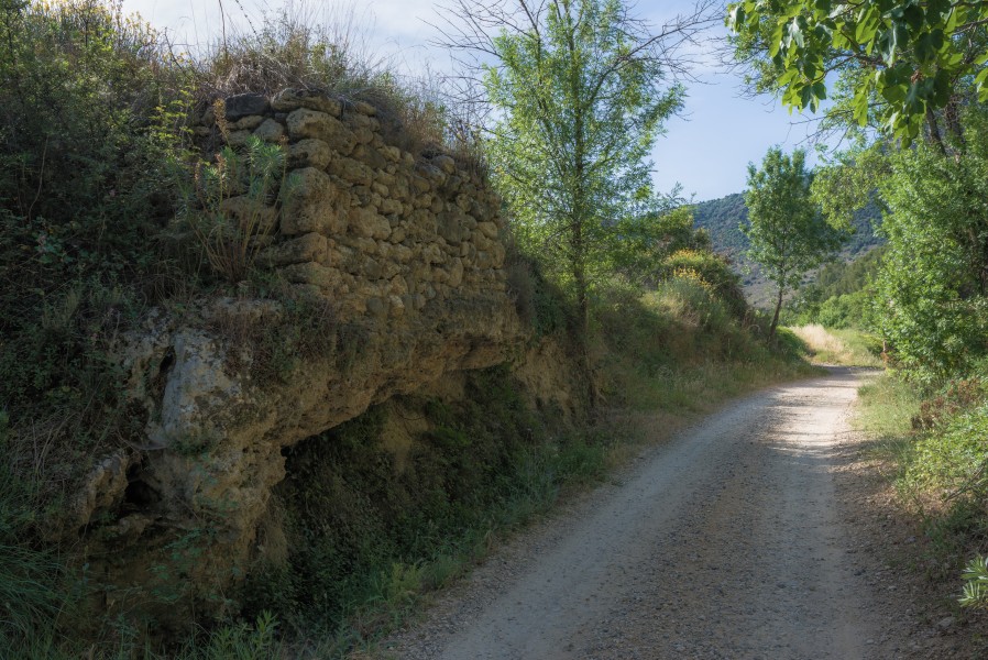 Trail in Cabrières, Hérault 01
