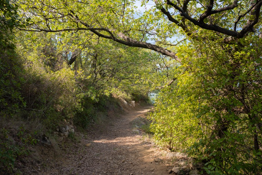 Trail in Murviel-lès-Béziers 01