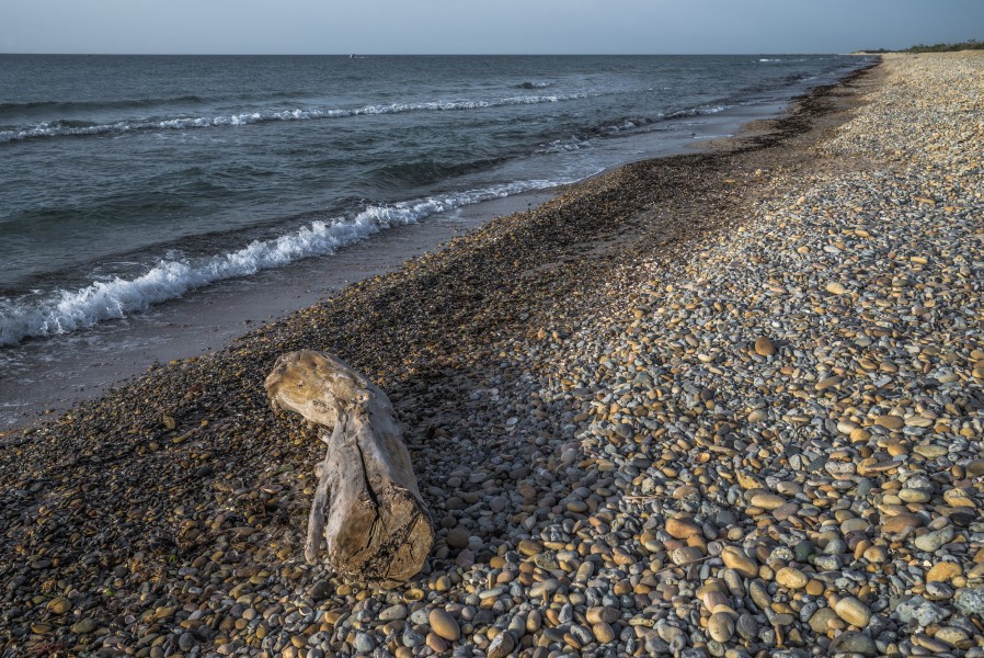 Trunk aground, Vic-la-Gardiole 02