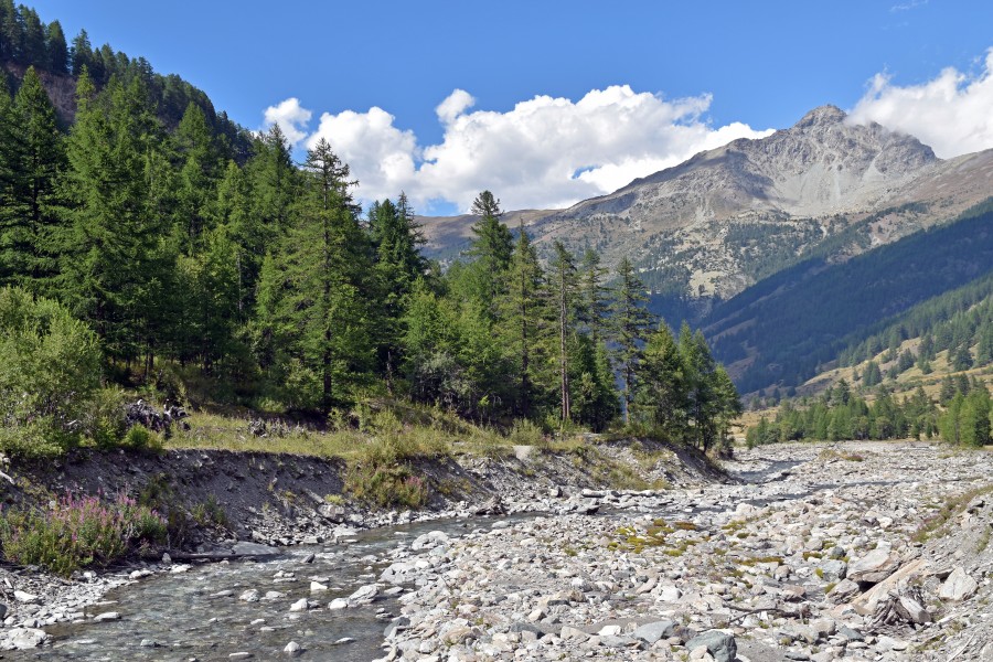 Vallée-du-Guil-Queyras-DSC 0708