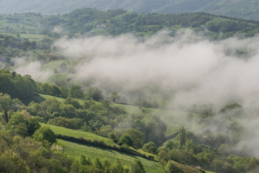 Valley of Duzou River 02