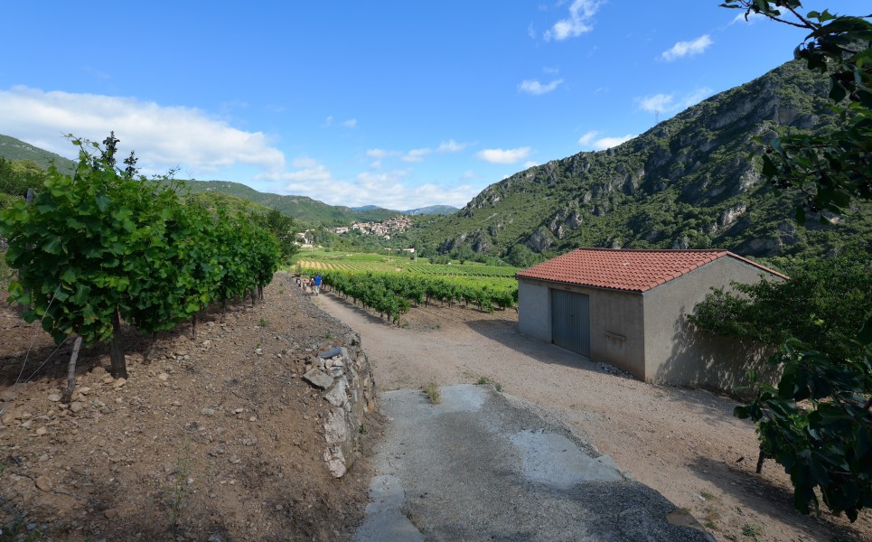Vieussan, Hérault 01