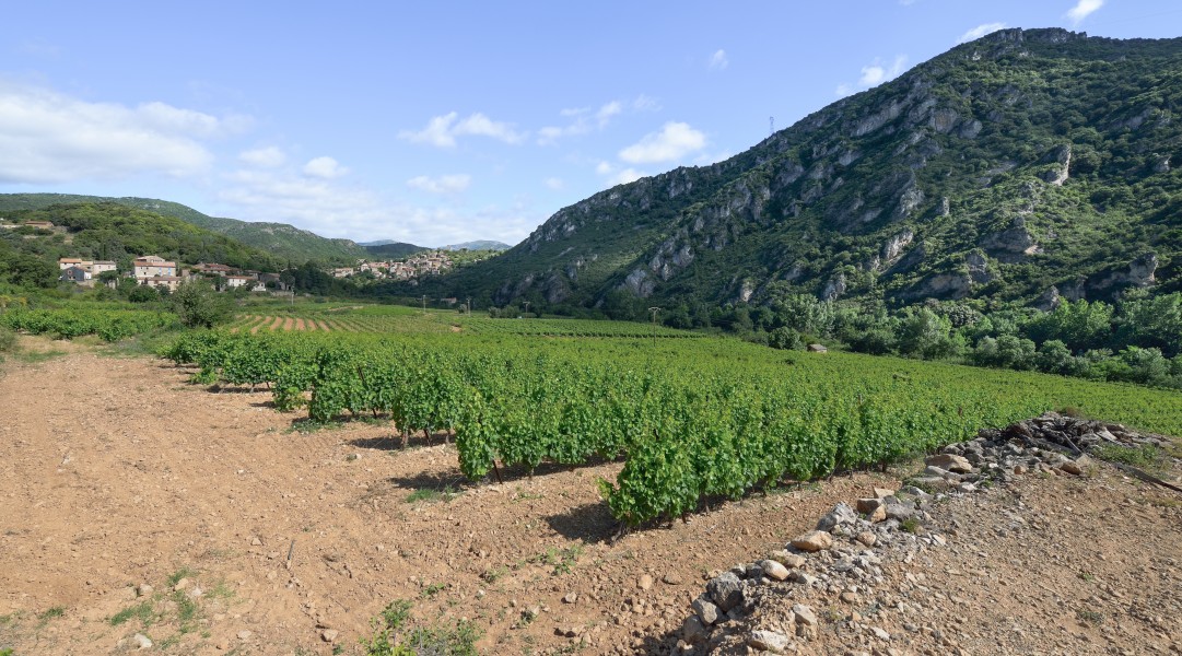 Vieussan, Hérault 04
