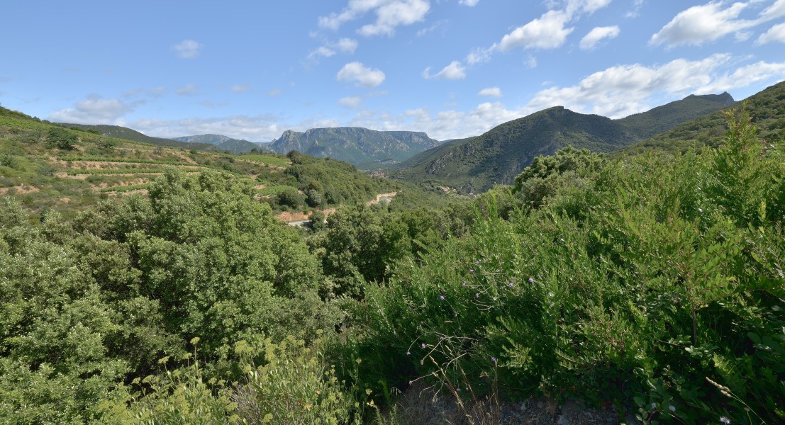 Vieussan, Hérault 06