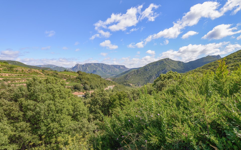 Vieussan, Hérault 09