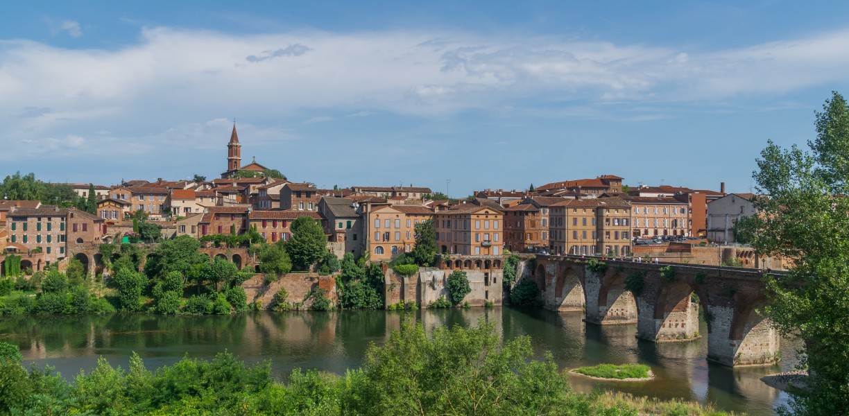 Vieux pont d'Albi 07