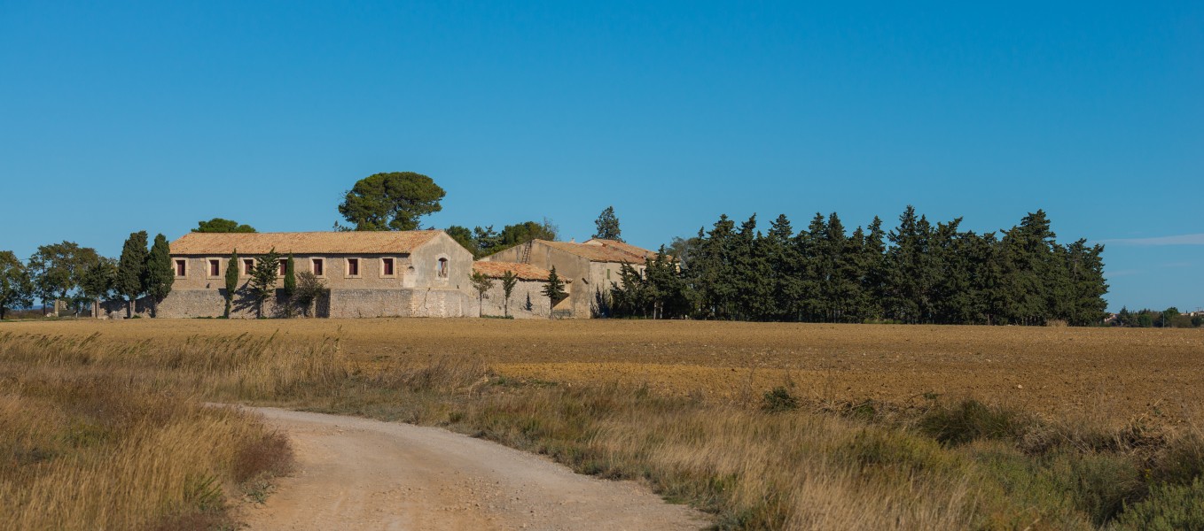 Villeneuve-lès-Maguelone, Hérault 03