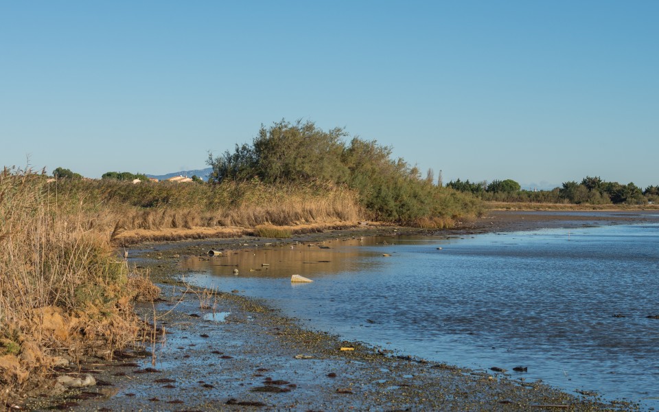 Villeneuve-lès-Maguelone, Hérault 09