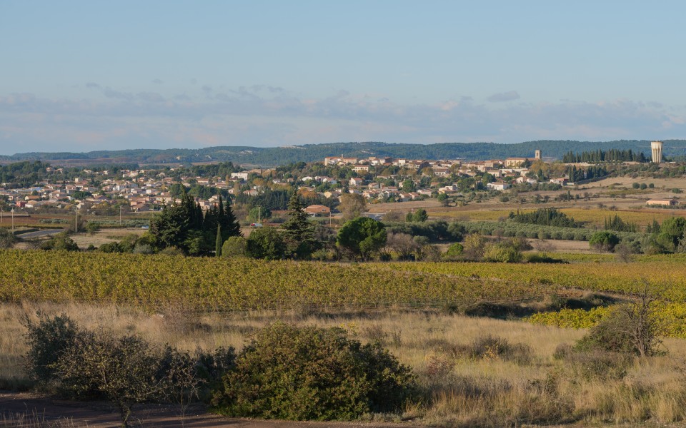 Villeveyrac, Hérault 01