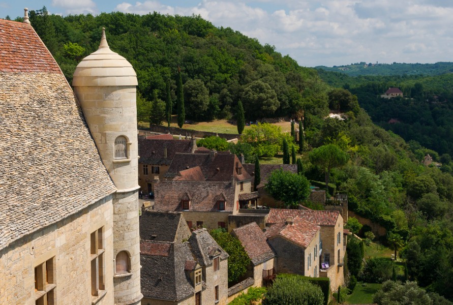 Vue depuis le Château de Beynac Dordogne 20