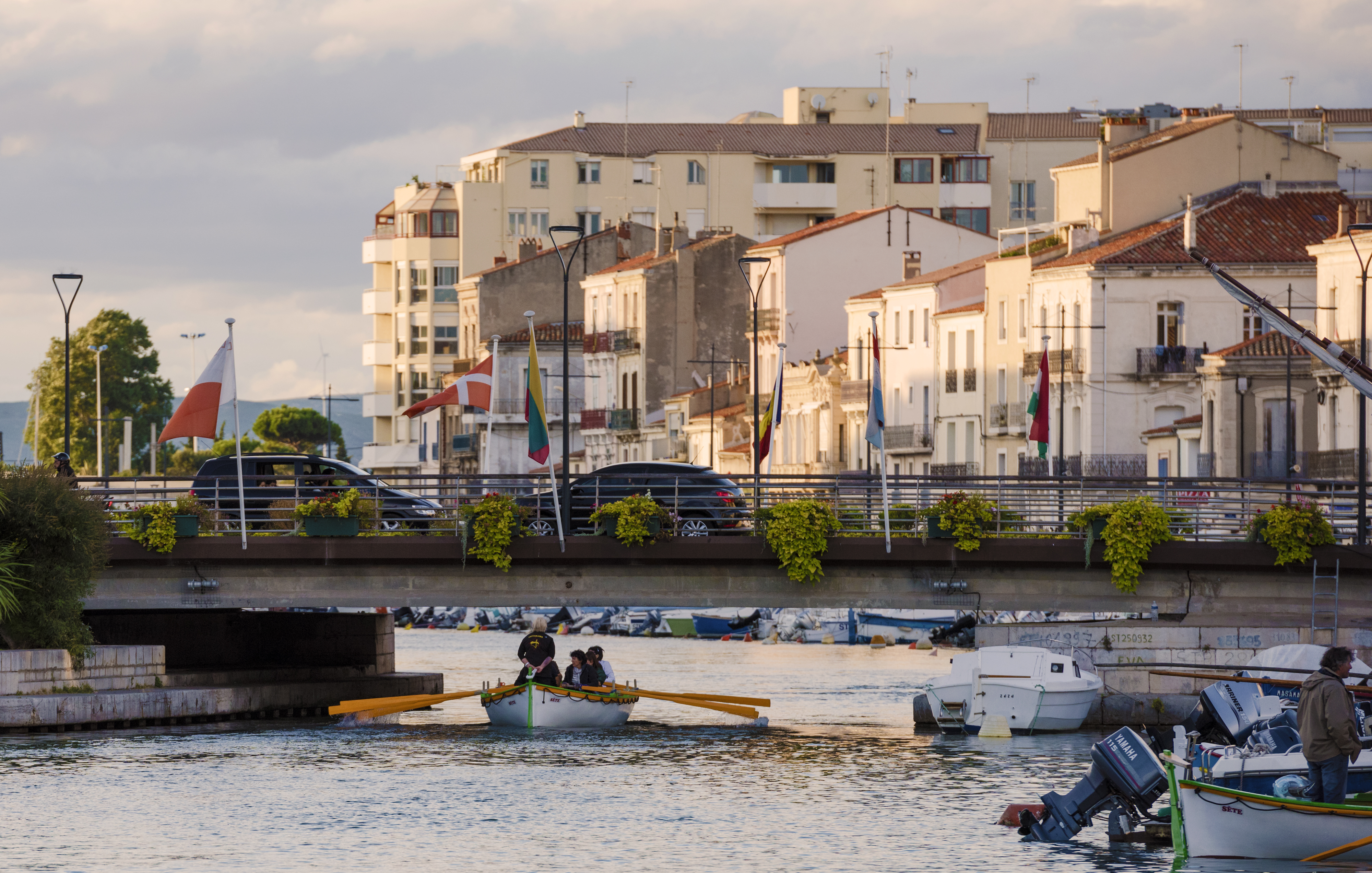Rowing training, Sète 03
