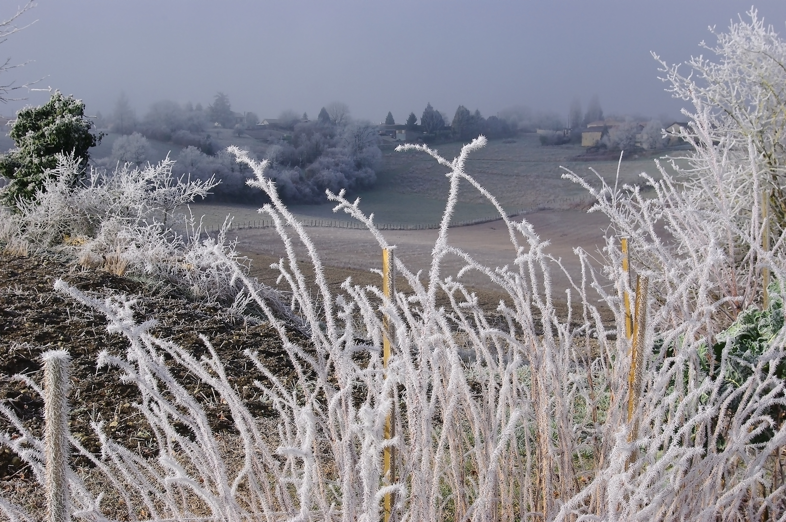 Saint-Amant 16 Givre-1 2010
