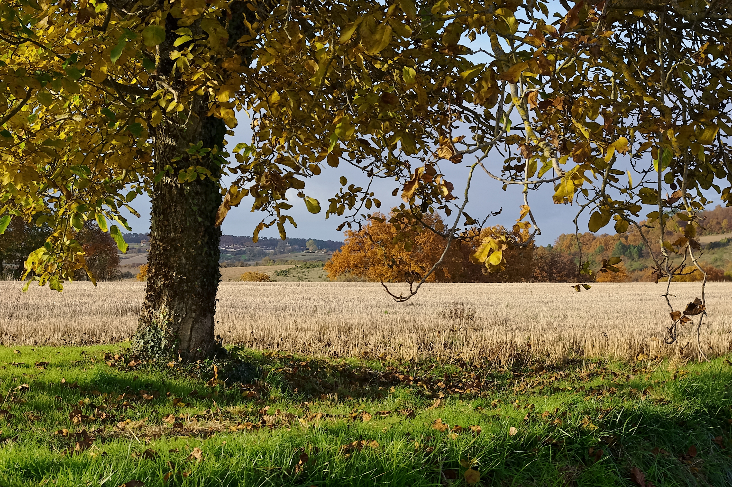 Saint-Amant Automne 2008