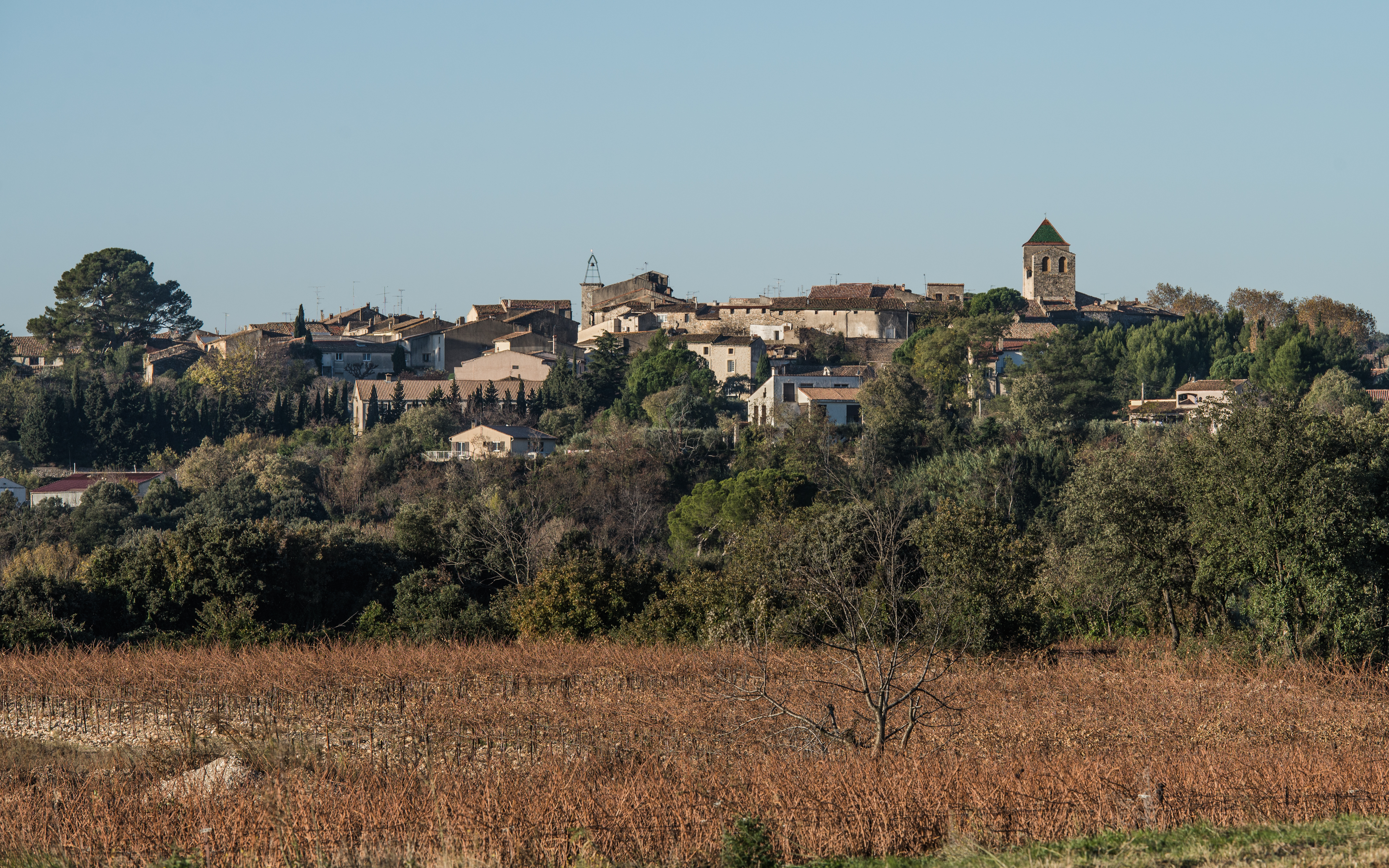 Saint-Jean-de-Fos, Hérault 01
