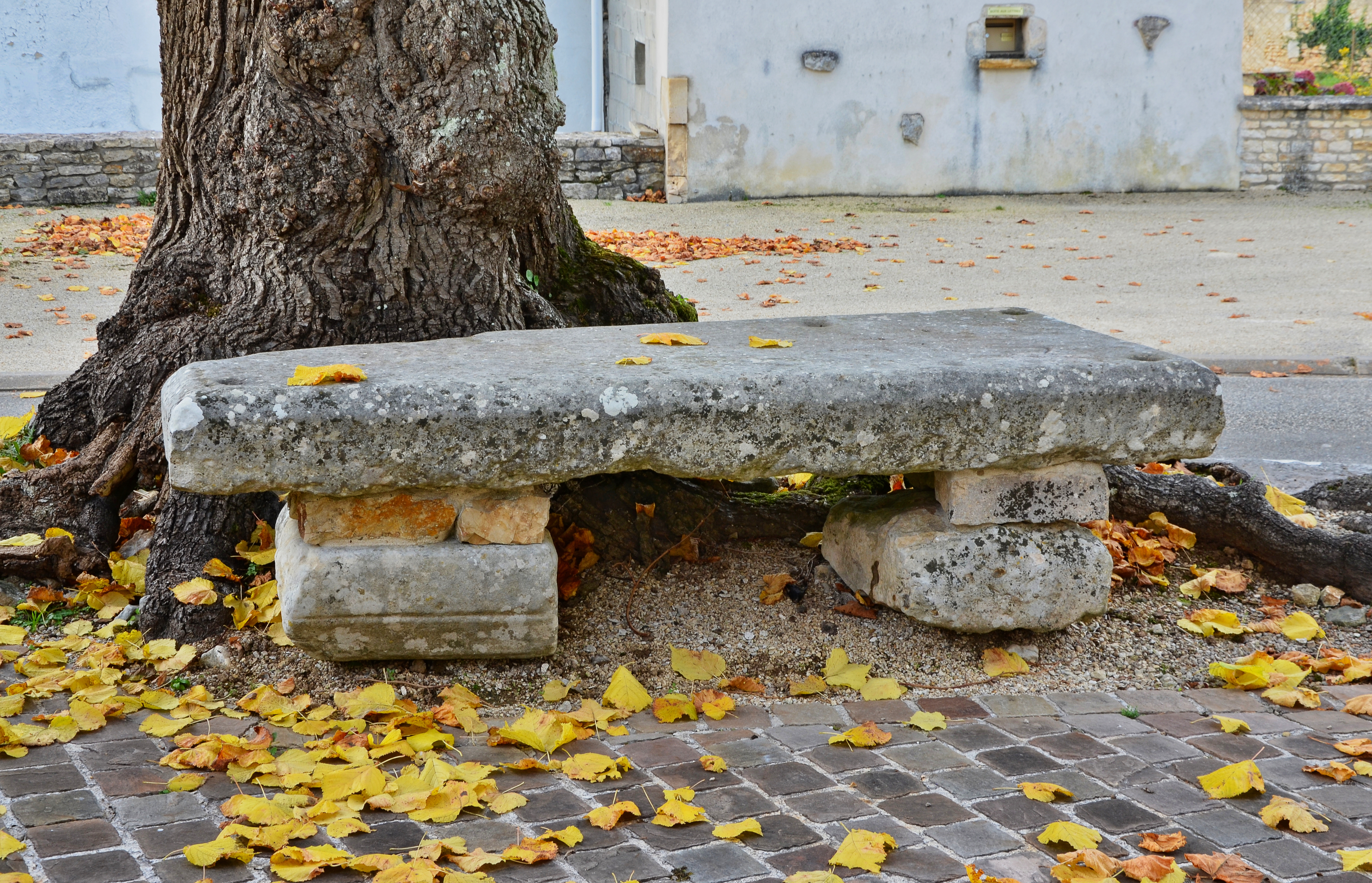 Saint-Pierre-d'Exideuil 86 Banc de pierre&feuilles tilleul Sully-2014