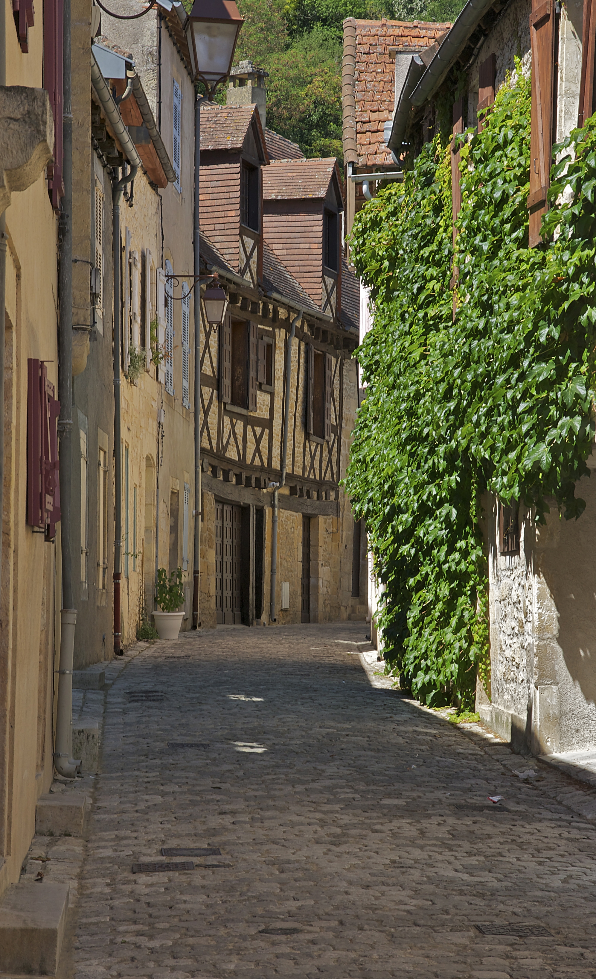 Street Montignac 1