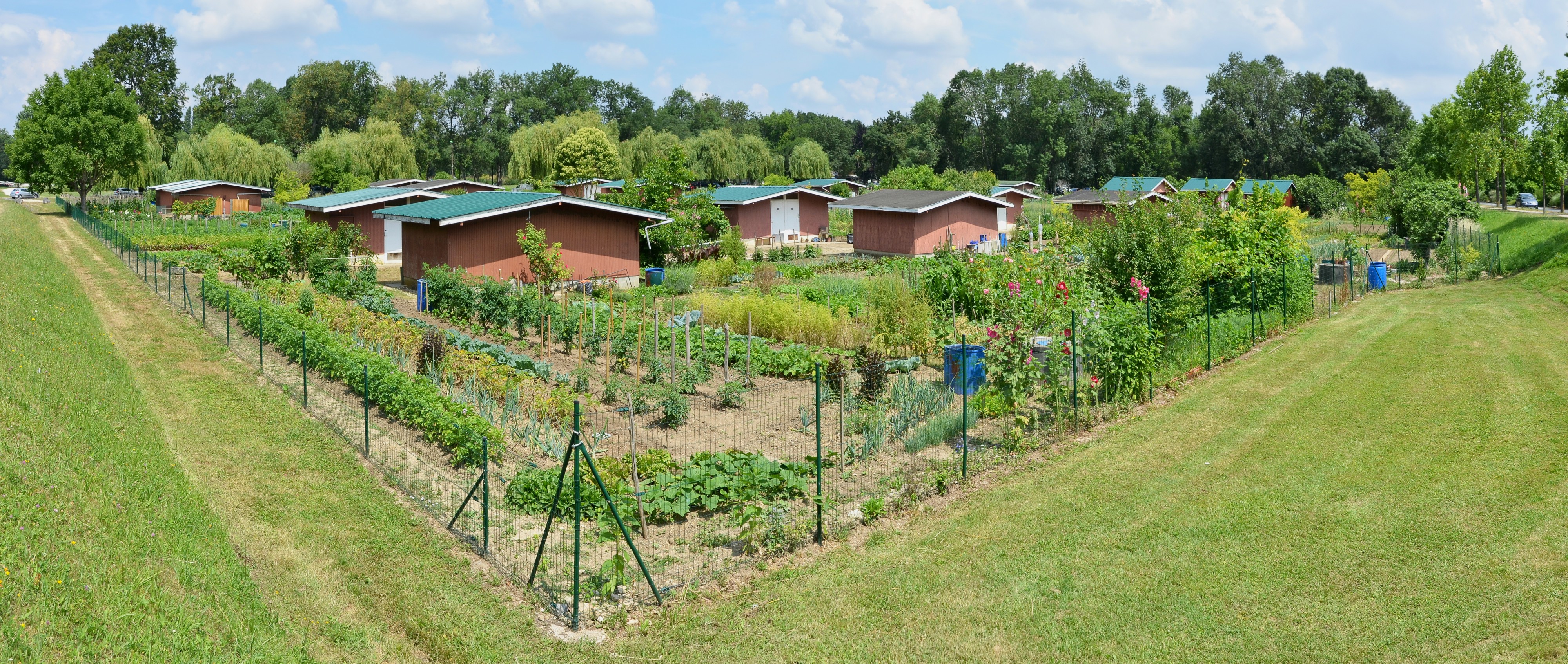 Angoulême 16 Jardins familiaux Frégeneuil pano 2014
