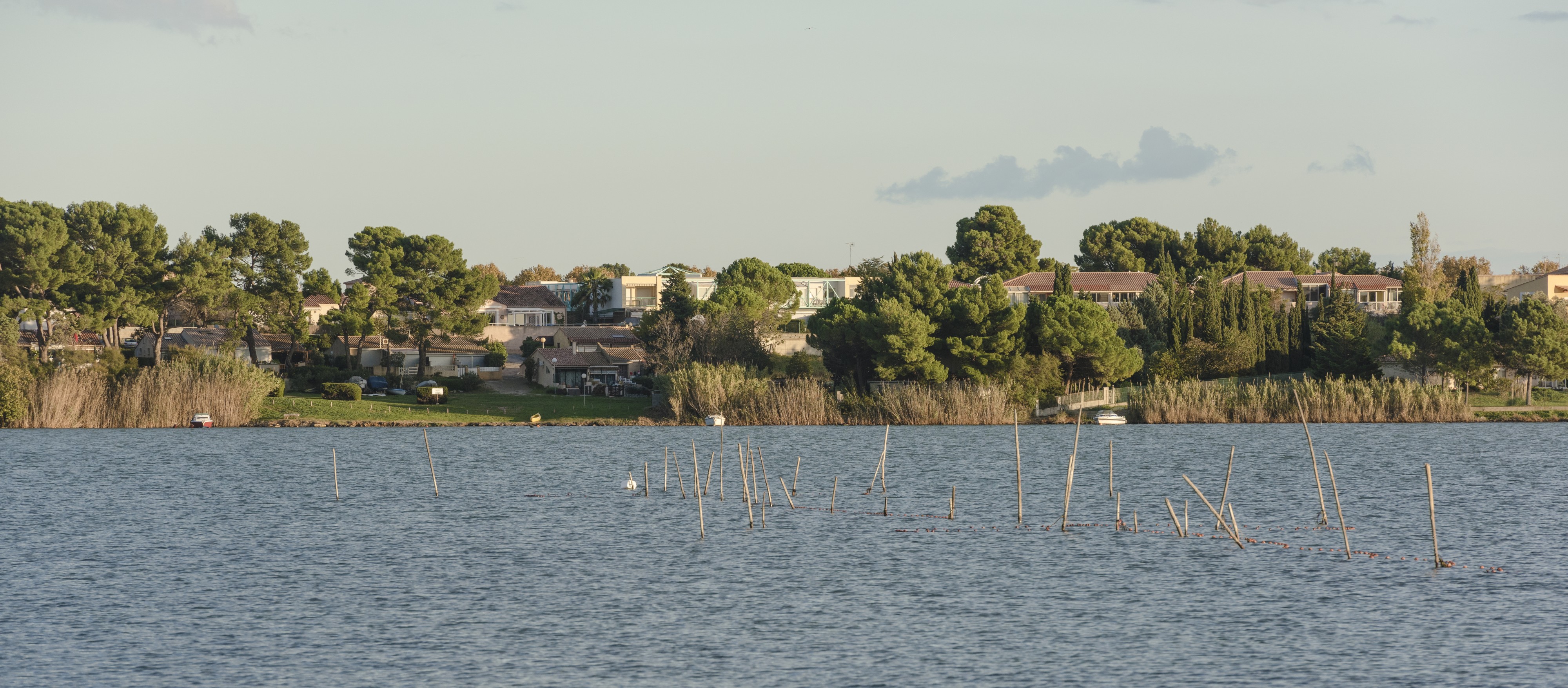 Balaruc-les-Bains, Hérault 12