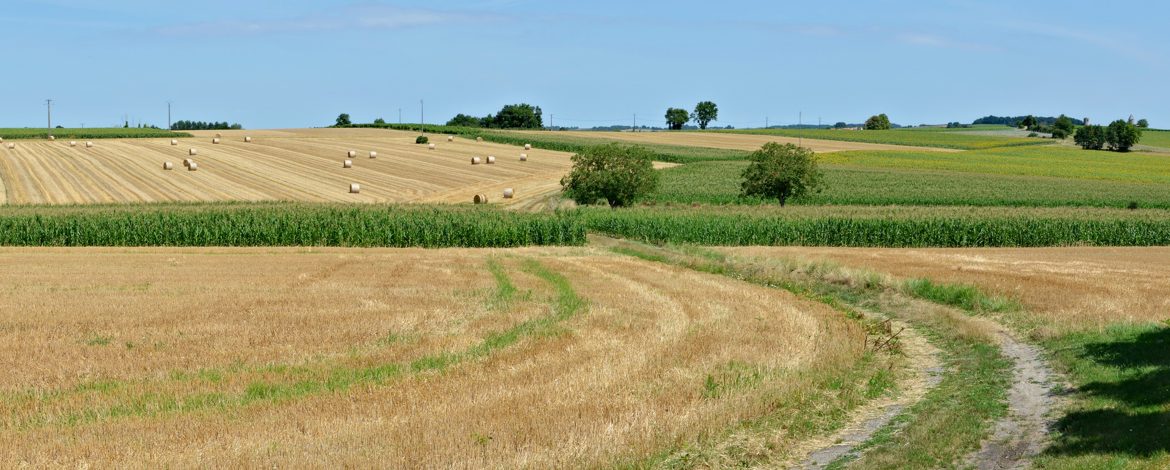 Bessac 16 Polyculture 2013
