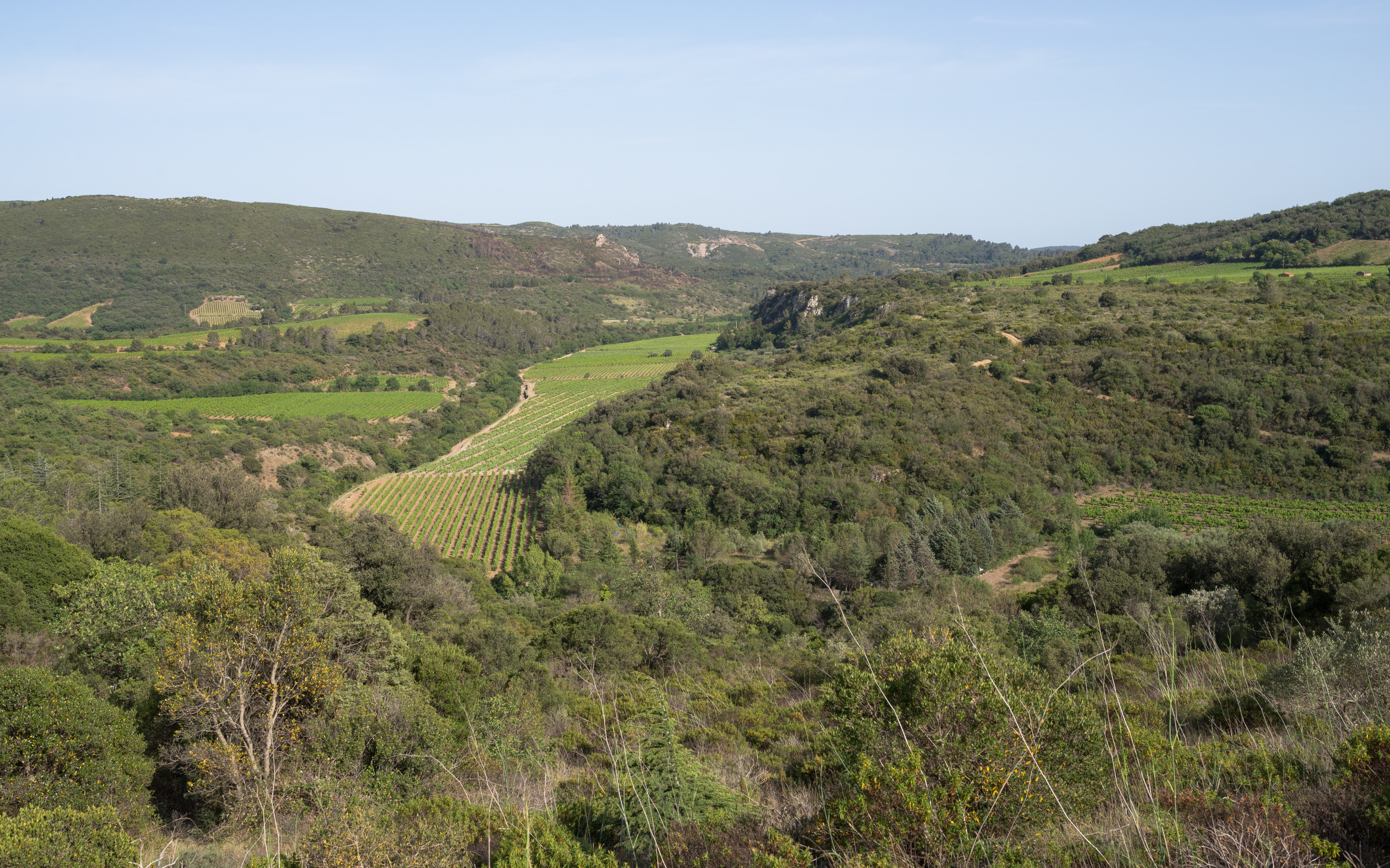 Cabrières, Hérault 01