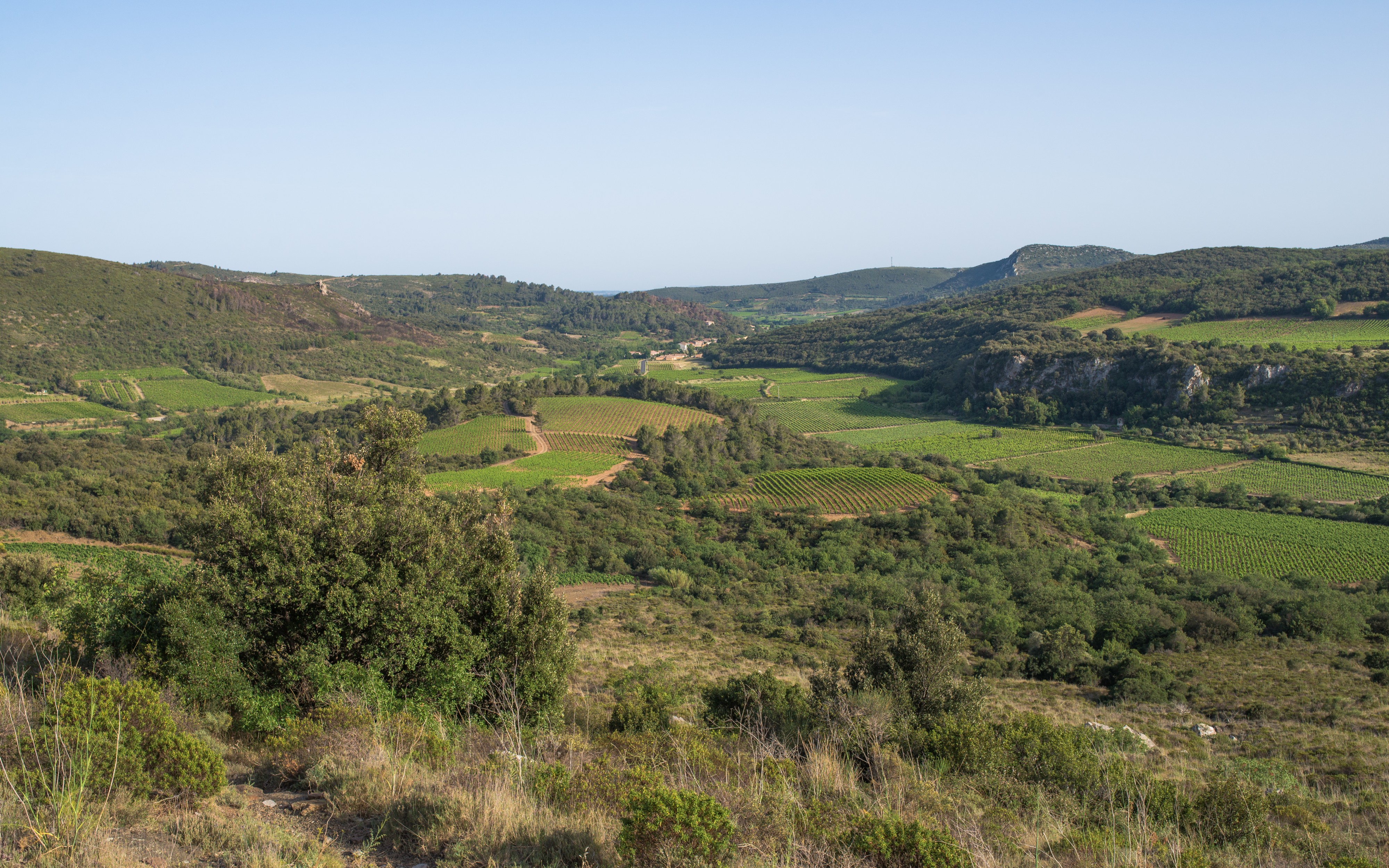 Cabrières, Hérault 02