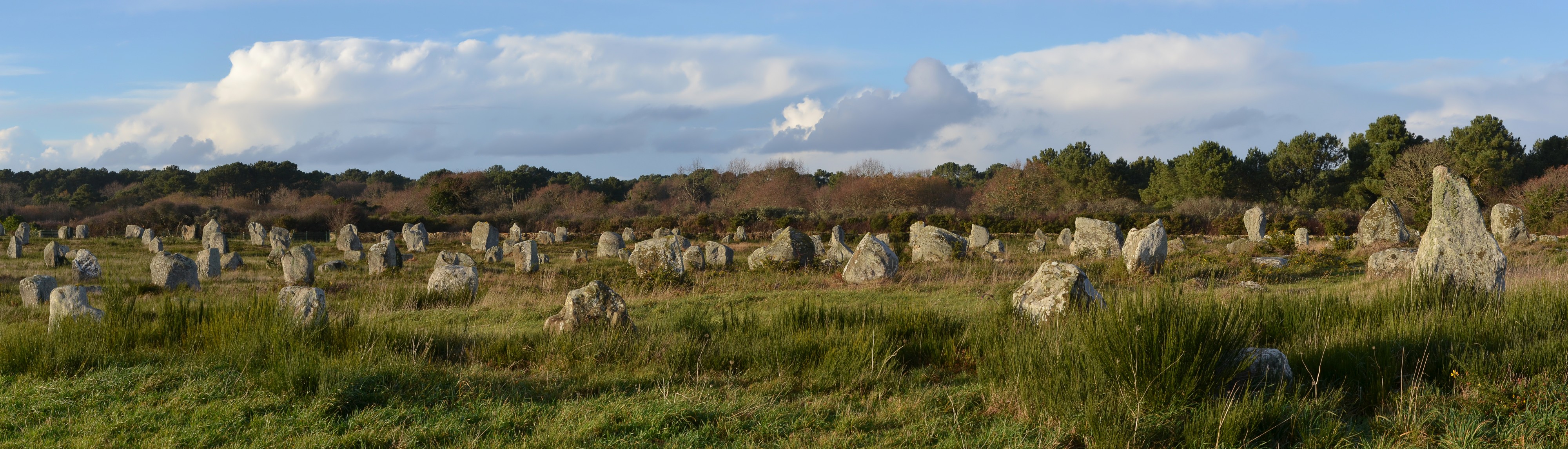 Carnac 56 Alignement du Ménec 2013