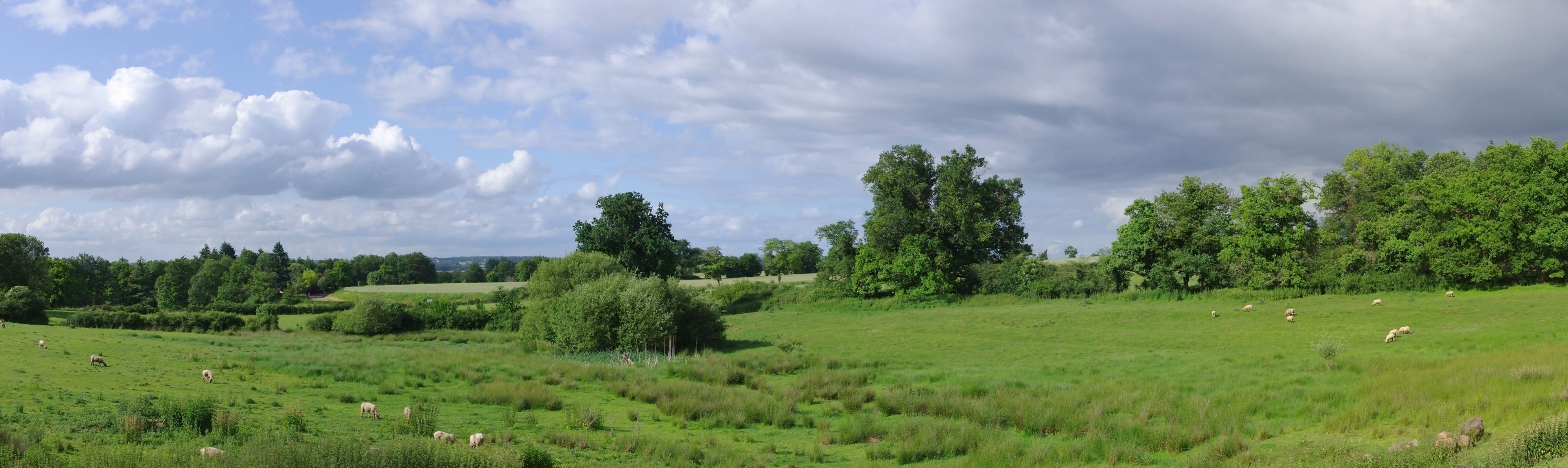 Cassinomagus paysage 2012