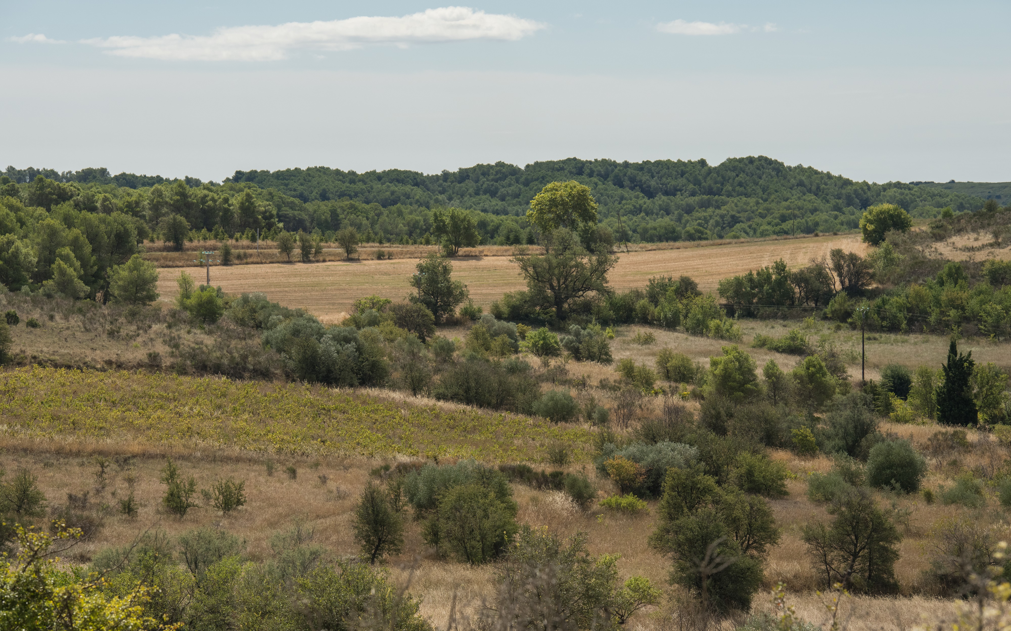 Castelnau-de-Guers, Hérault 10
