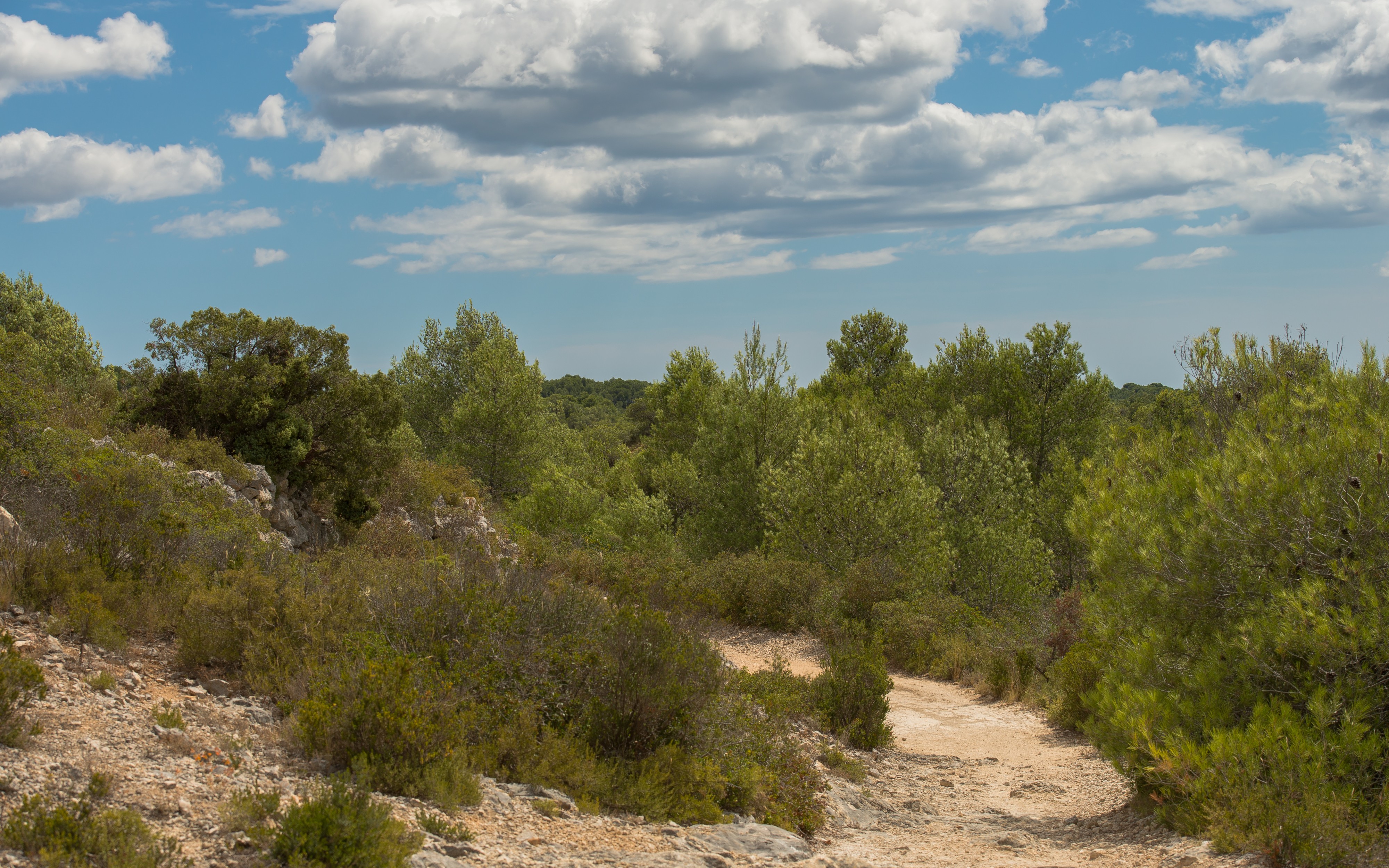 Castelnau-de-Guers, Hérault 12