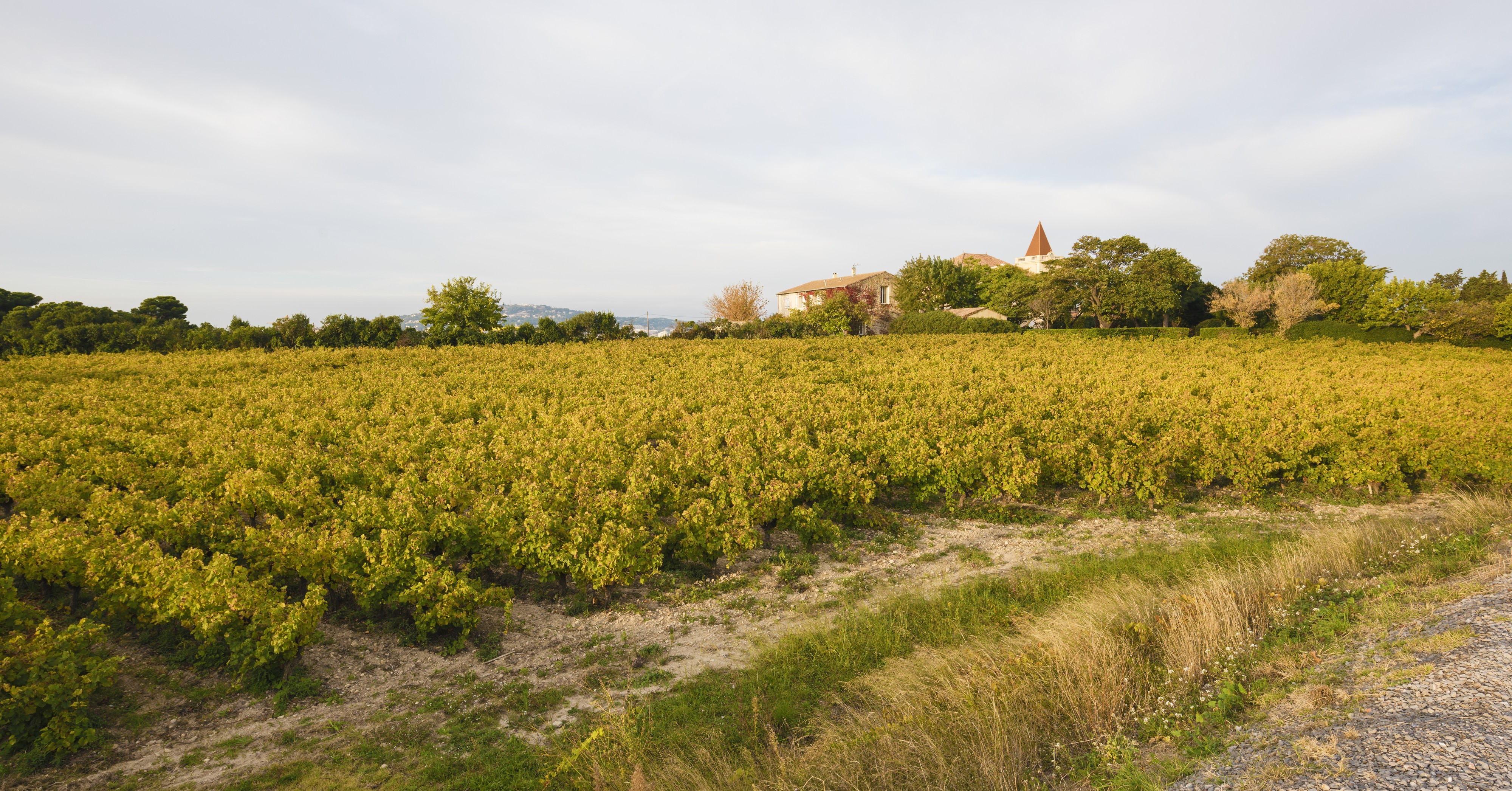 Château de La Peyrade Frontignan 02